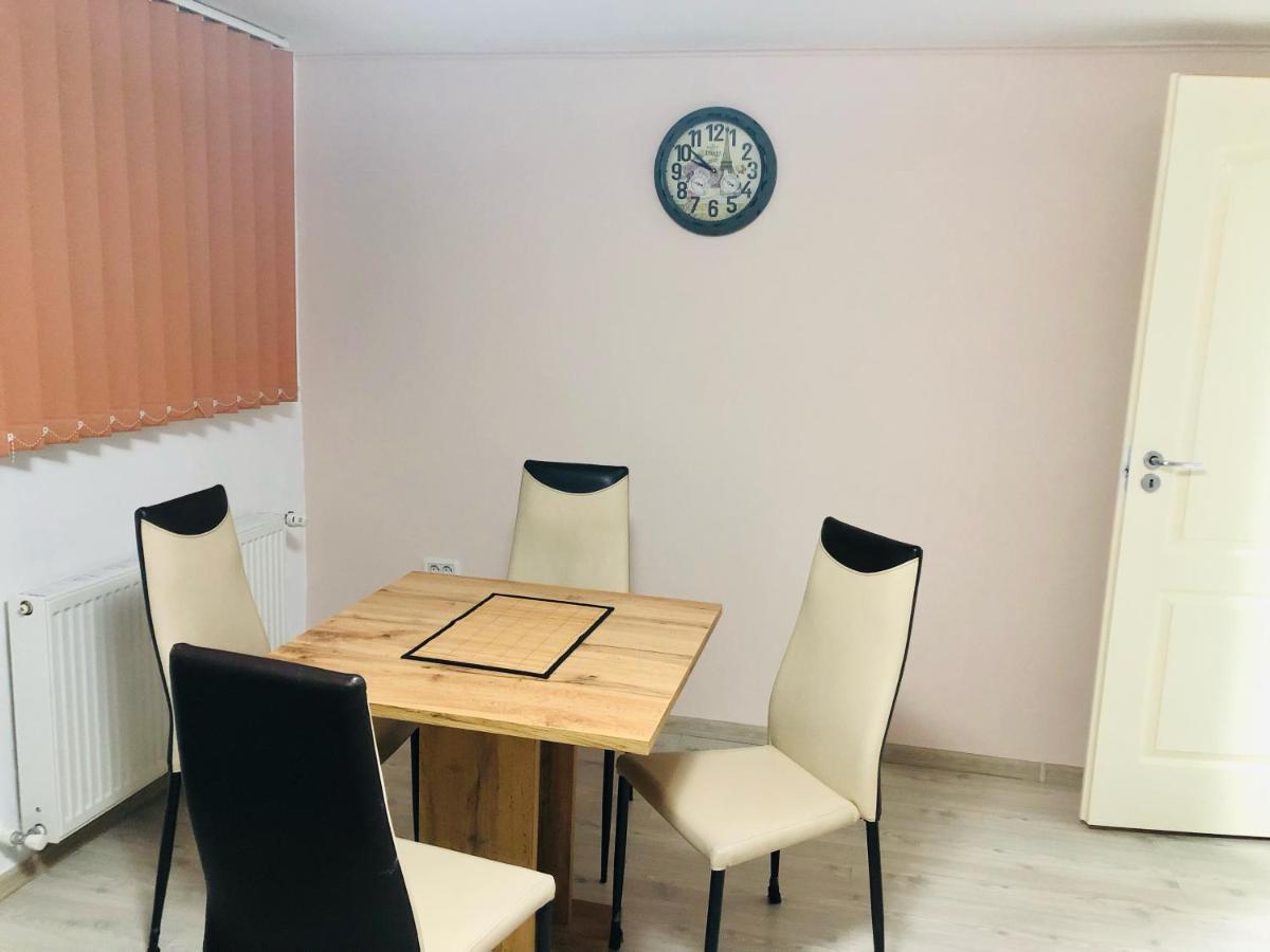 Central Park - Big Apartment - 3 Rooms - Free Parking T5 Τιμισοάρα Εξωτερικό φωτογραφία