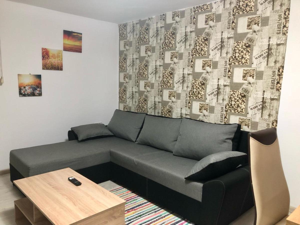Central Park - Big Apartment - 3 Rooms - Free Parking T5 Τιμισοάρα Εξωτερικό φωτογραφία