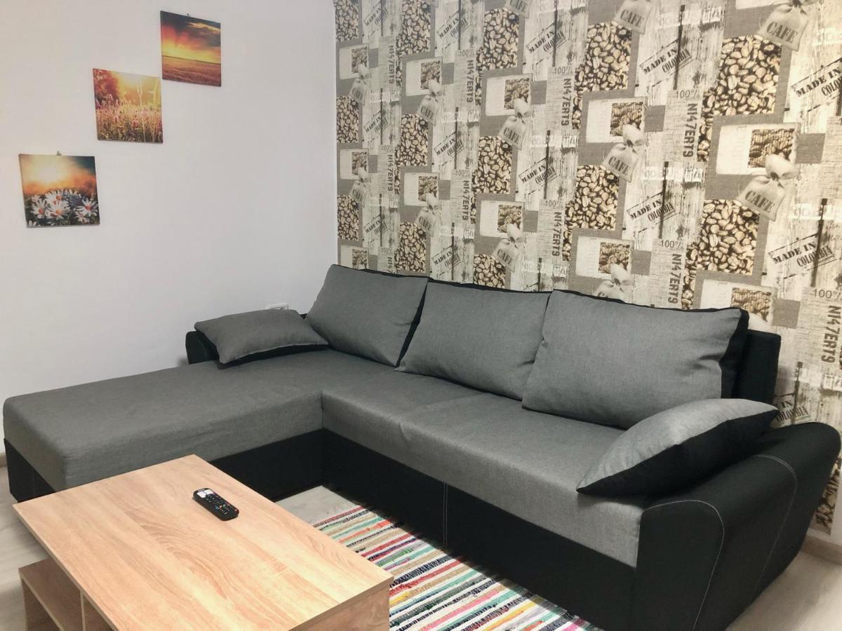 Central Park - Big Apartment - 3 Rooms - Free Parking T5 Τιμισοάρα Εξωτερικό φωτογραφία