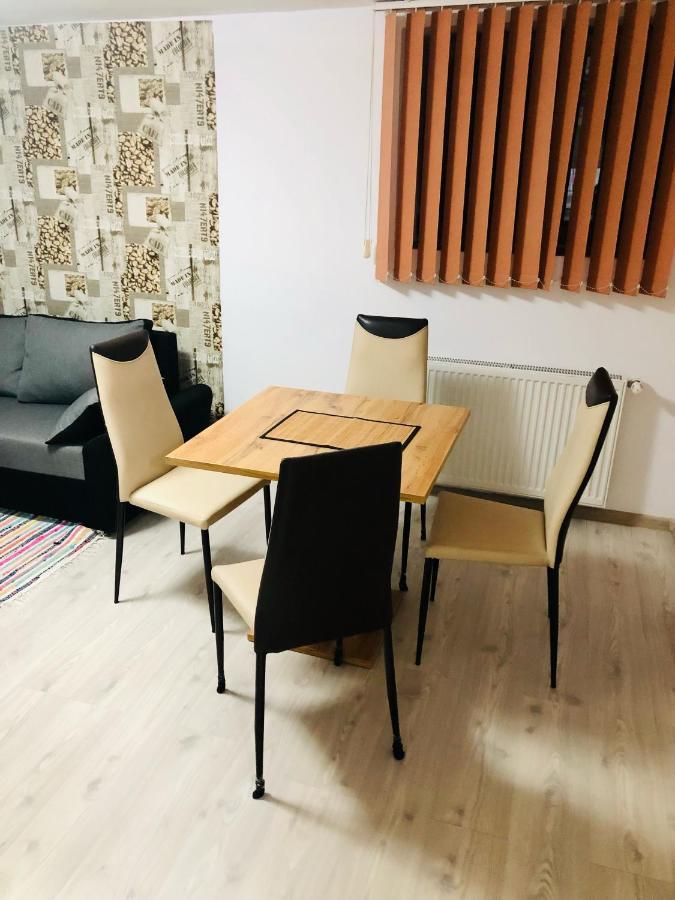 Central Park - Big Apartment - 3 Rooms - Free Parking T5 Τιμισοάρα Εξωτερικό φωτογραφία