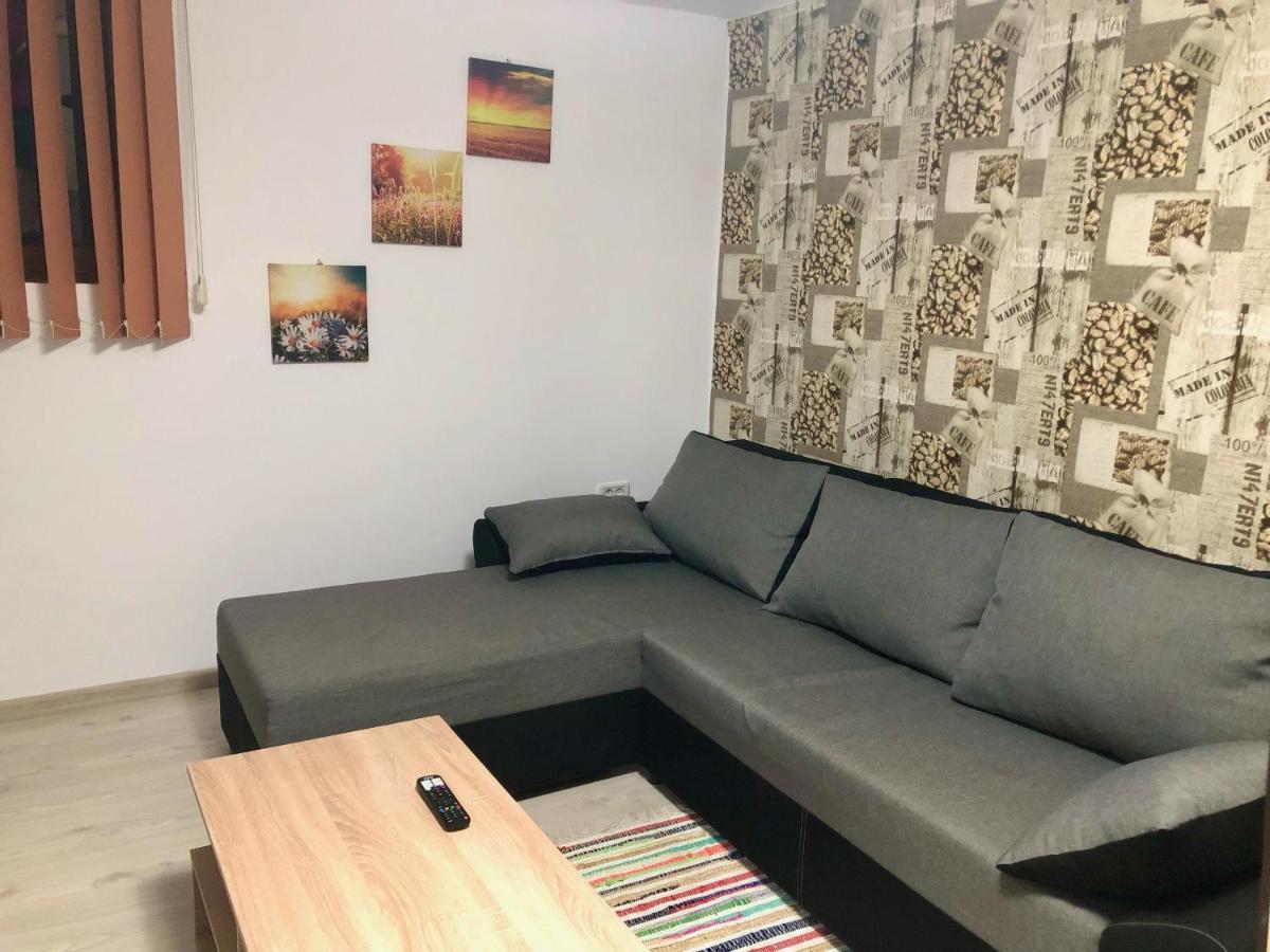 Central Park - Big Apartment - 3 Rooms - Free Parking T5 Τιμισοάρα Εξωτερικό φωτογραφία